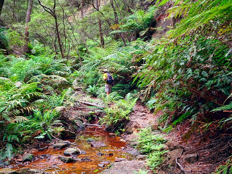 unbenannte Fotosession 20131222 1087